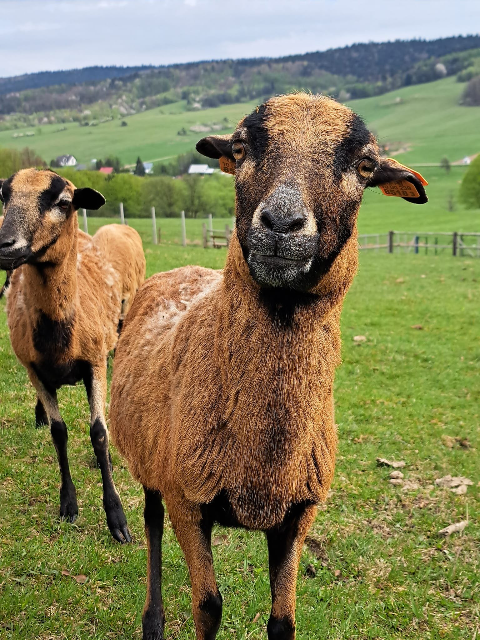 437134677_400324062762247_6006623540376588680_n