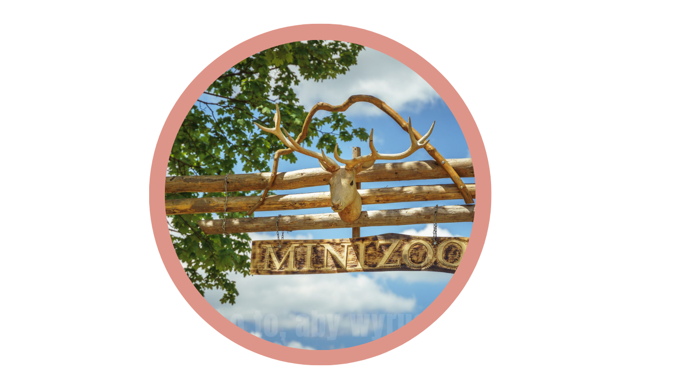 logo mini zoo