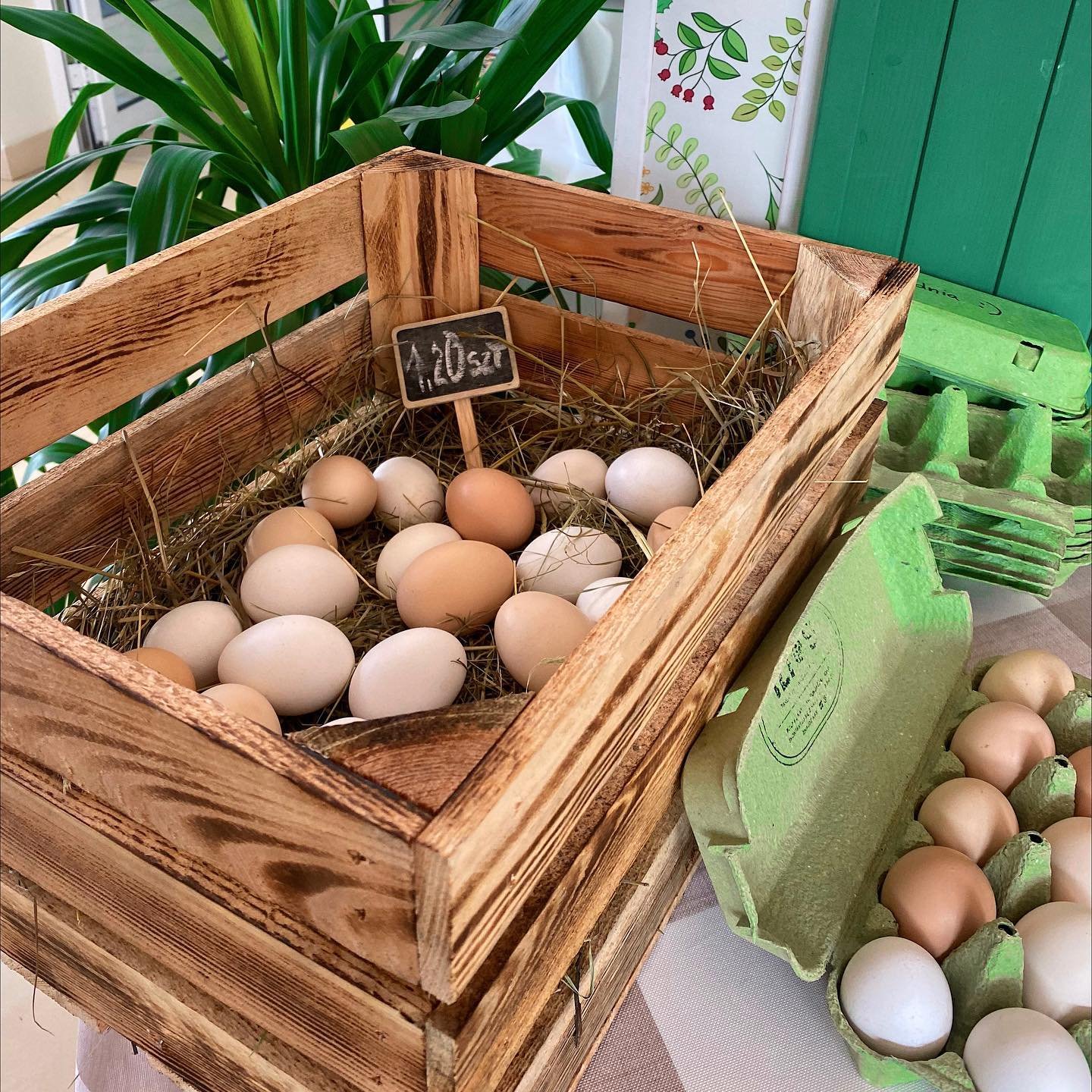 292307771_581538490259552_5877460161095548666_n