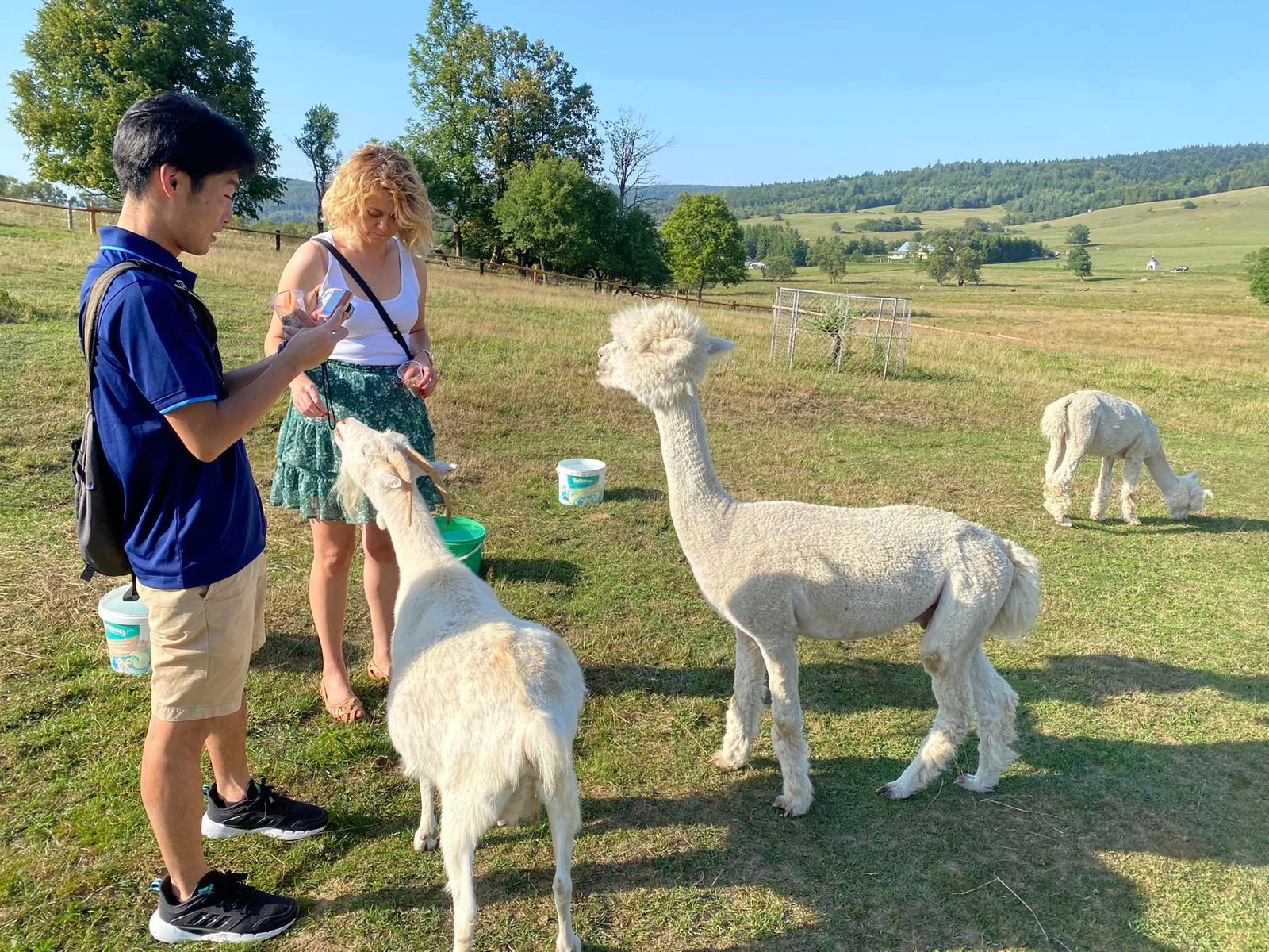 301695557_1111095599526174_6448398034656840478_n