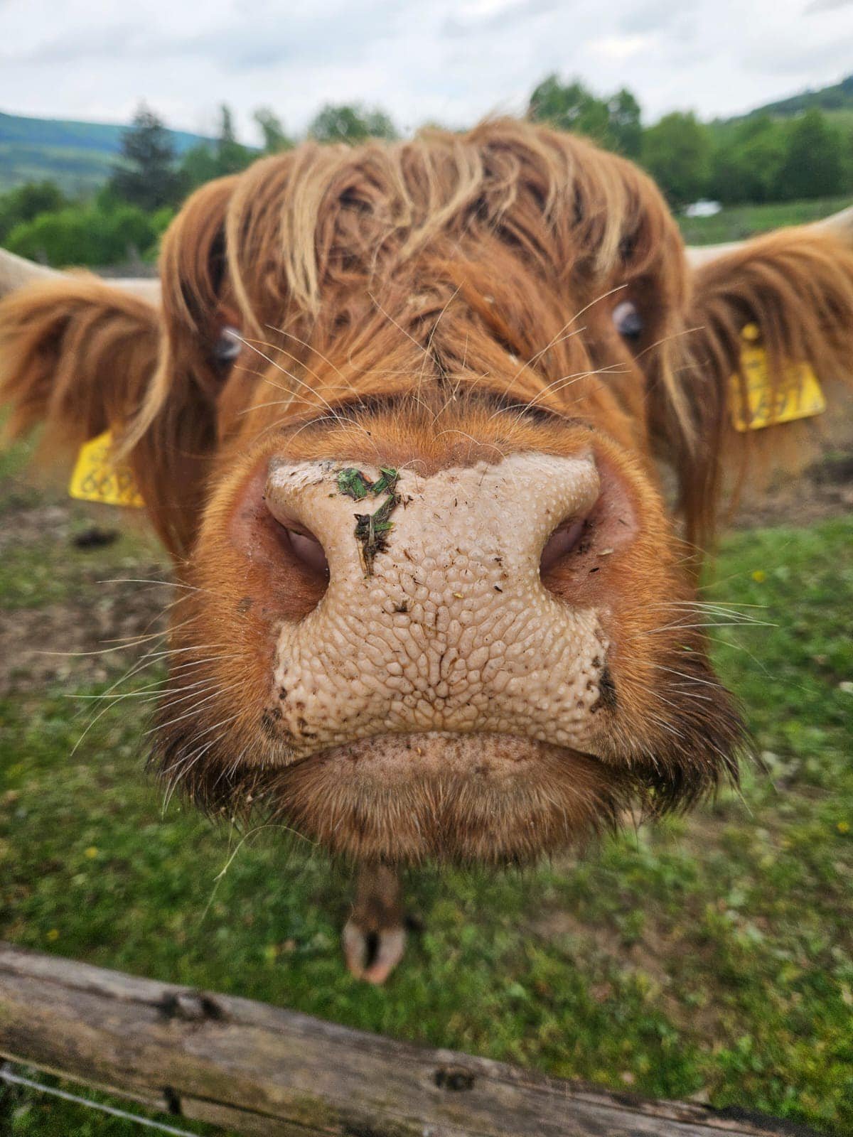 441582040_839845381506189_265502489353472232_n