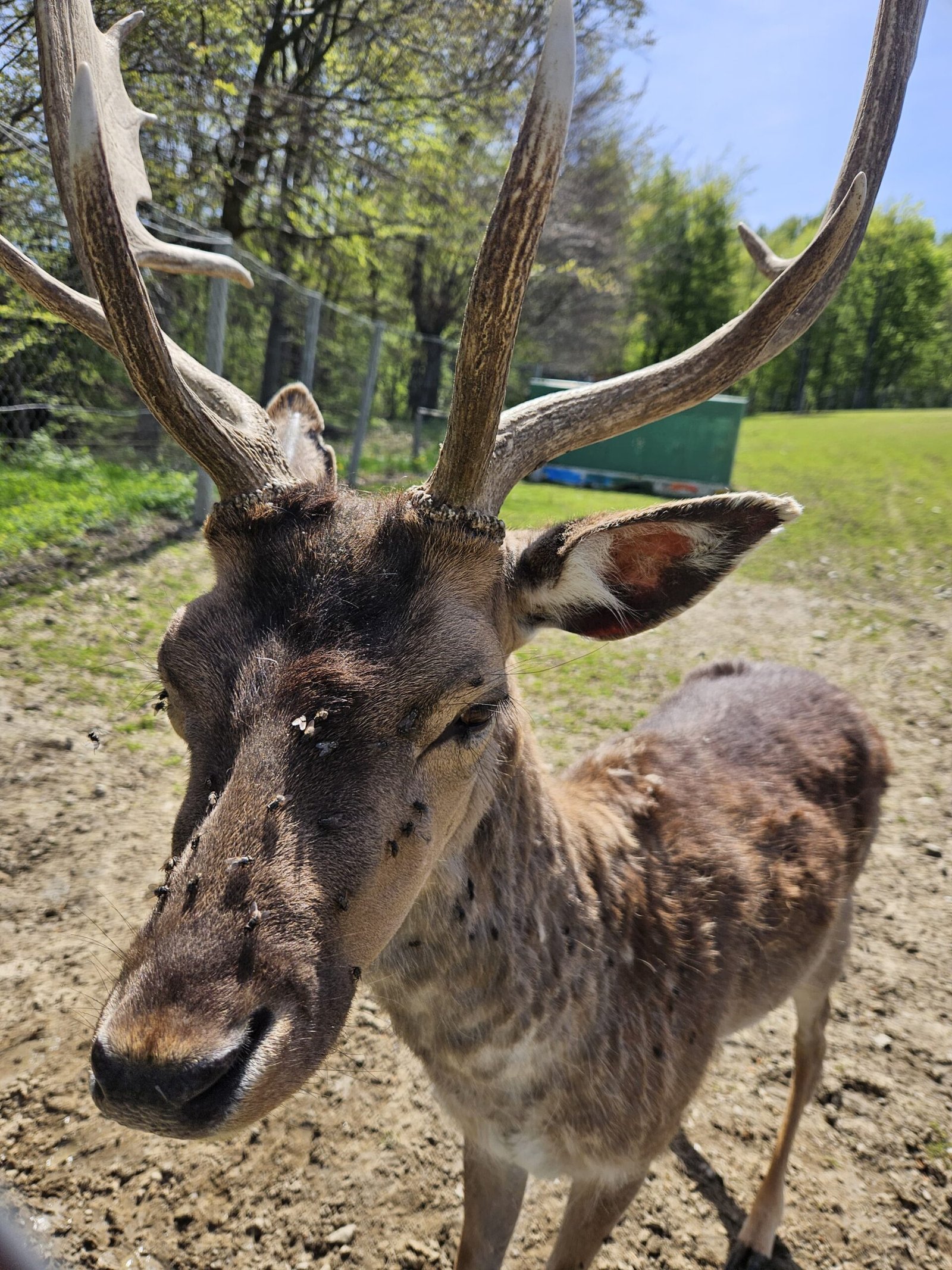 Zdjęcie WhatsApp 2024-05-21 o 14.52.37_61bdb0bb