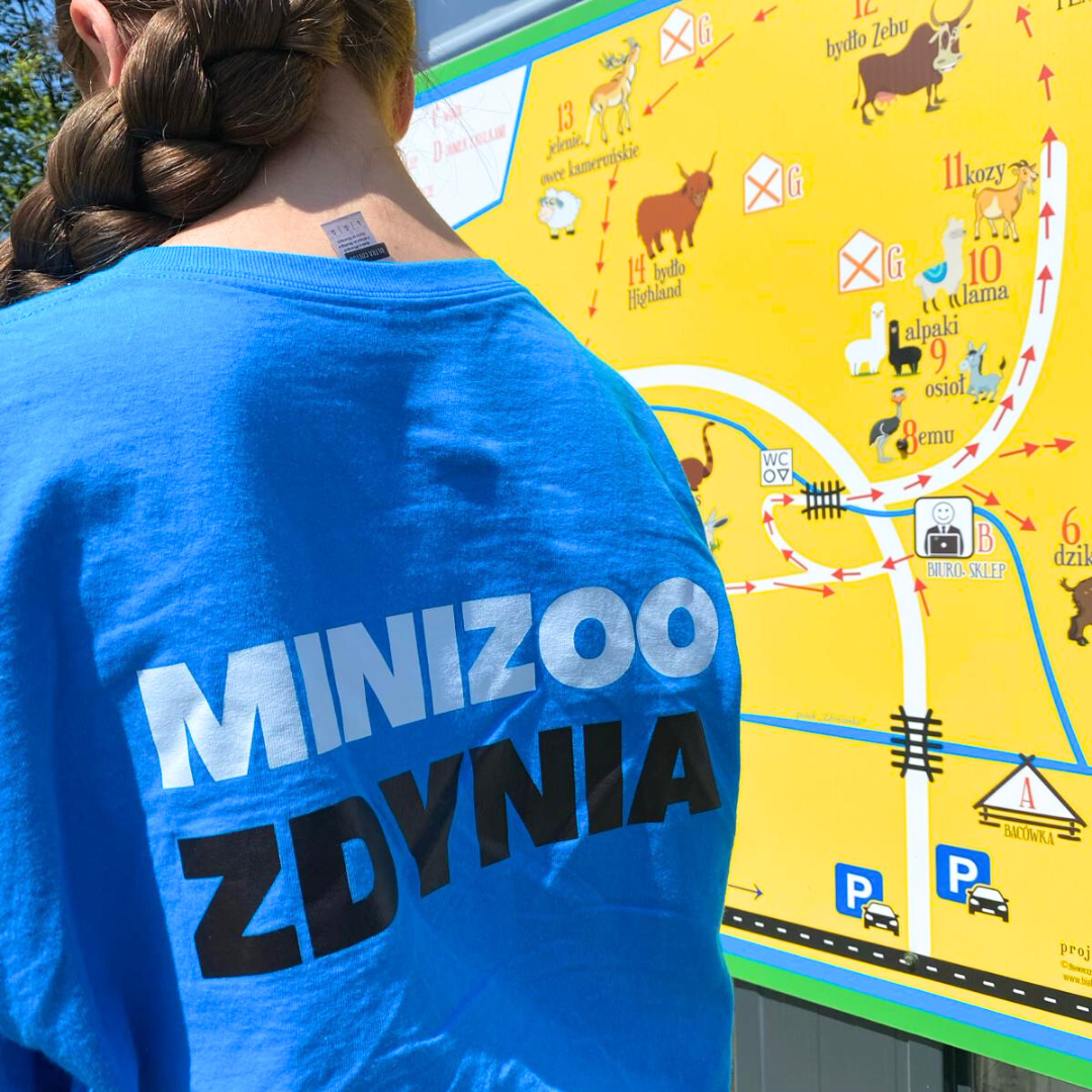 mini zoo2 (1)